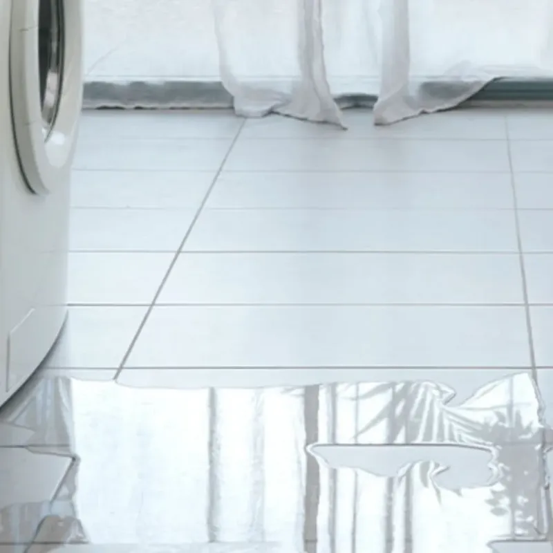 Appliance Leak Cleanup in Troy, KS