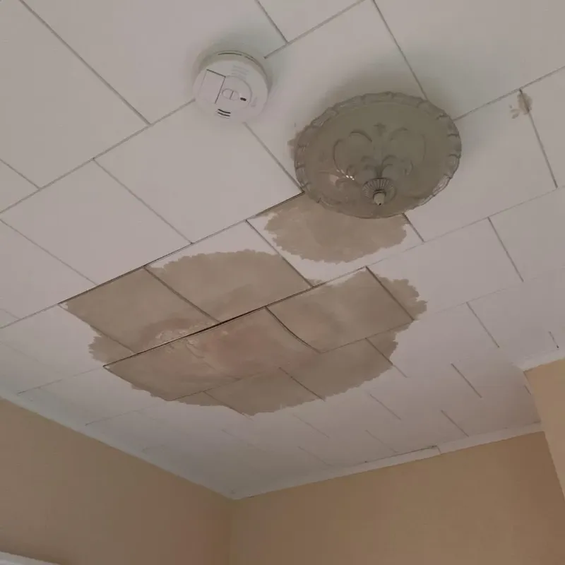 Ceiling Water Damage Repair in Troy, KS