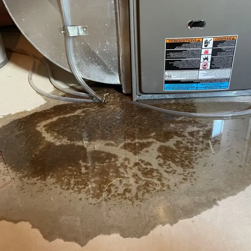 Pipe Burst and Leak Restoration in Troy, KS