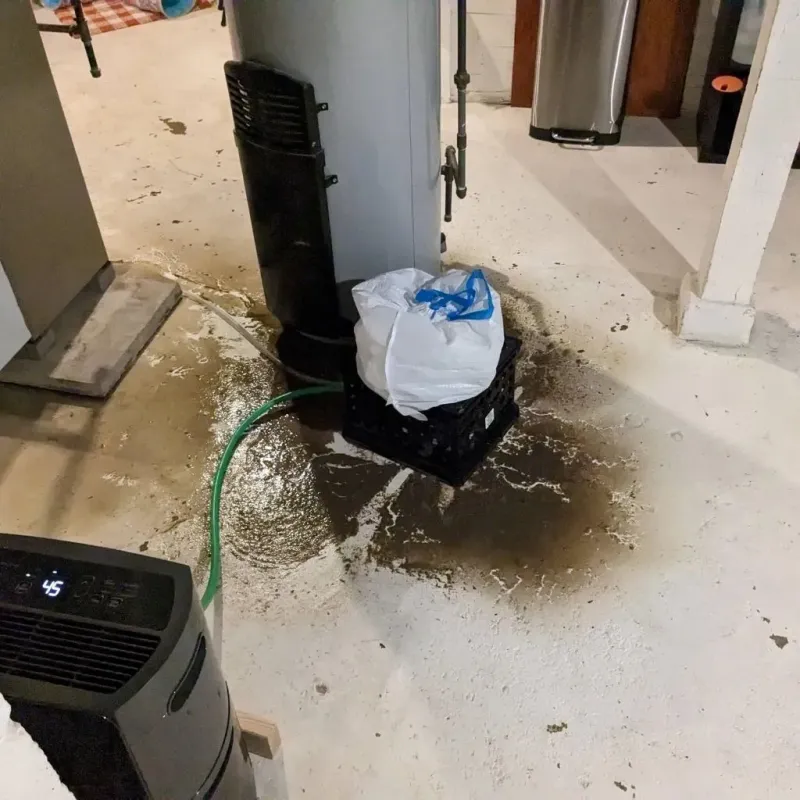 Sewage Backup Cleanup Service in Troy, KS